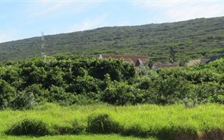 1262 m² Land available in Beachview