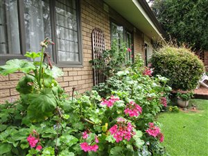 3 Bed Townhouse in Bedford Gardens