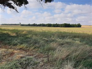 99 ha Land available in Elandsvlei