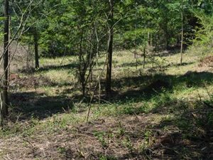 3716 m² Land available in Crestholme