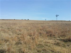 Farm in Winburg