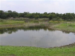 4 ha Land available in Kleinfontein