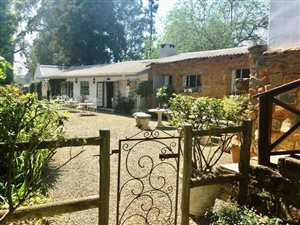 39.4 ha Farm in Currys Post