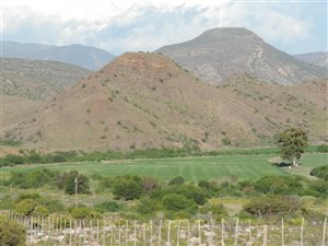 365 ha Farm in Laingsburg