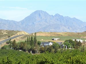 40 ha Farm in Montagu