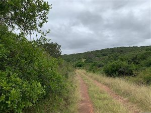 1.7 ha Land available in Bathurst and Surrounds
