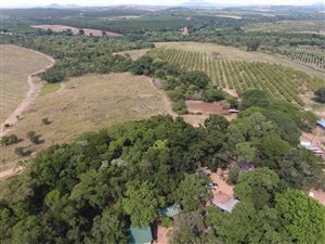 353 ha Farm in Makhado (Louis Trichardt)