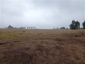 1 ha Farm in Heidelberg AH