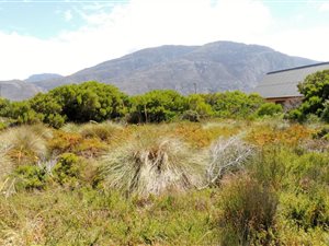 1301 m² Land available in Bettys Bay