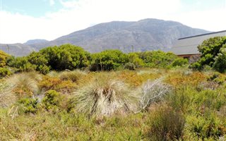 1301 m² Land available in Bettys Bay