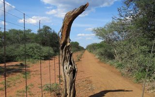 60 ha Farm in Lephalale (Ellisras)