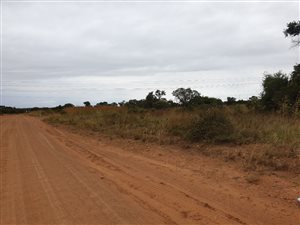 22 ha Farm in Dinokeng