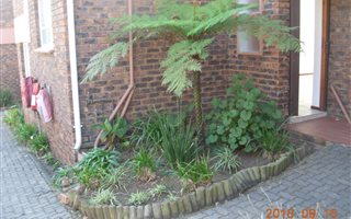 2 Bedroom House in Croydon