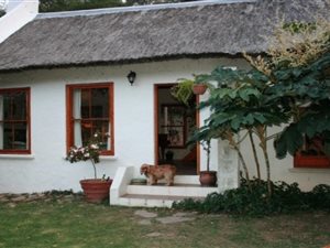 5.2 ha Farm in Hogsback