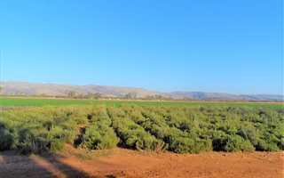 47 ha Farm in Hekpoort