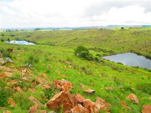 128.5 ha Farm in Dullstroom