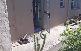 0.5 Bedroom Garden Cottage in Franklin Roosevelt Park