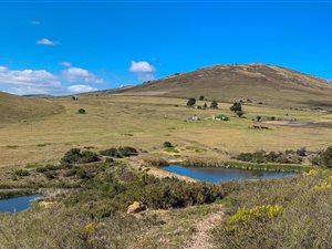 Game Farm in Humansdorp