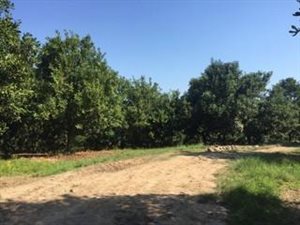 450 ha Farm in Uvongo