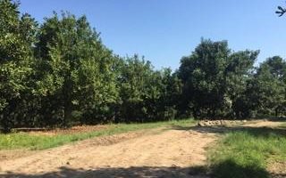 450 ha Farm in Uvongo