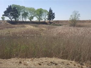2330 m² Farm in Katlehong