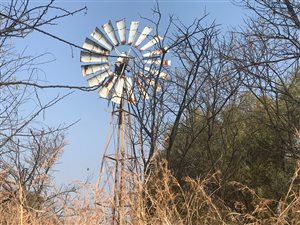 21.4 ha Farm in Magaliesburg