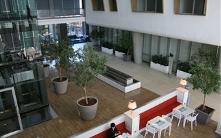 824 m² Commercial space in Morningside