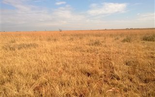 22.3 ha Land available in Magaliesburg