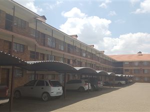 2 Bed Apartment in Tileba