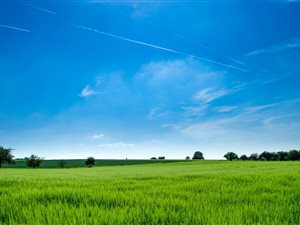 1646 m² Land available in Waverley