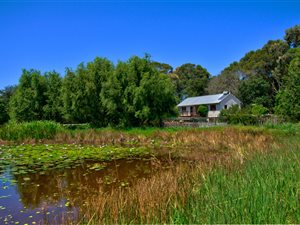 8 ha Farm in Harkerville