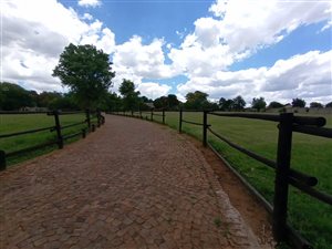 3 Bed House in Marister