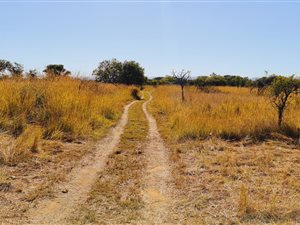 6.8 ha Farm in Buffelshoek AH
