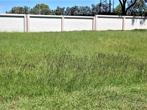 427 m² Land available in Cullinan