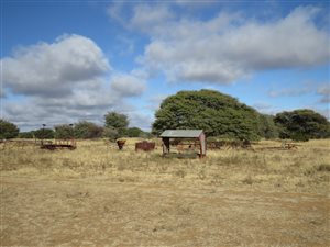 430 ha Farm in Vryburg