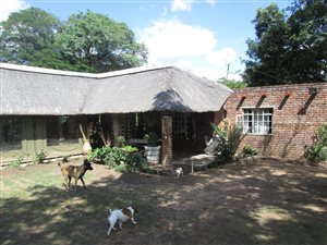25 ha Farm in Karino
