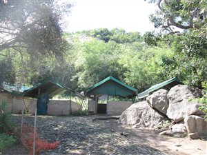25 ha Farm in Karino