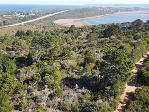 1.7 ha Land available in Wilderness