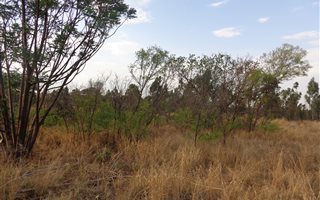 1070 m² Land available in Kameeldrift East