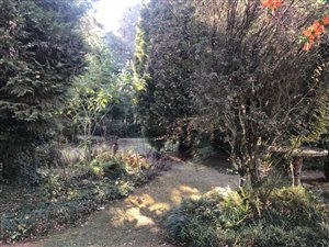 3 Bed House in Lidgetton