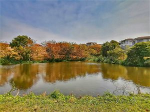 616 m² Land available in Shelly Beach