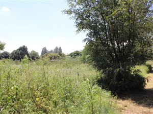 2552 m² Land available in Daleside
