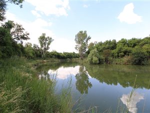 91.2 ha Farm in Viljoenskroon