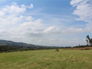 25 ha Land available in Howick