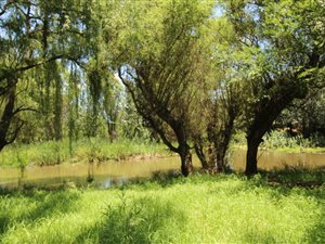 10.7 ha Farm in Muldersdrift
