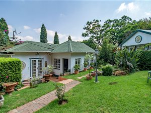 7 Bed House in Craighall Park