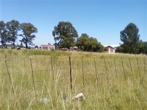 2.1 ha Farm in Mooilande