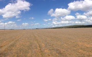 236 ha Farm in Stilbaai