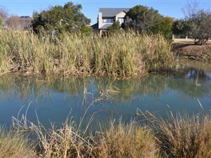 988 m² Land available in Helderfontein Estate