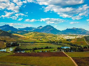 5 ha Farm in Stellenbosch Agricultural